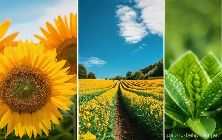 건축전기설비기사 업무 효율성 향상 팁 - Here are three detailed image prompts in English: